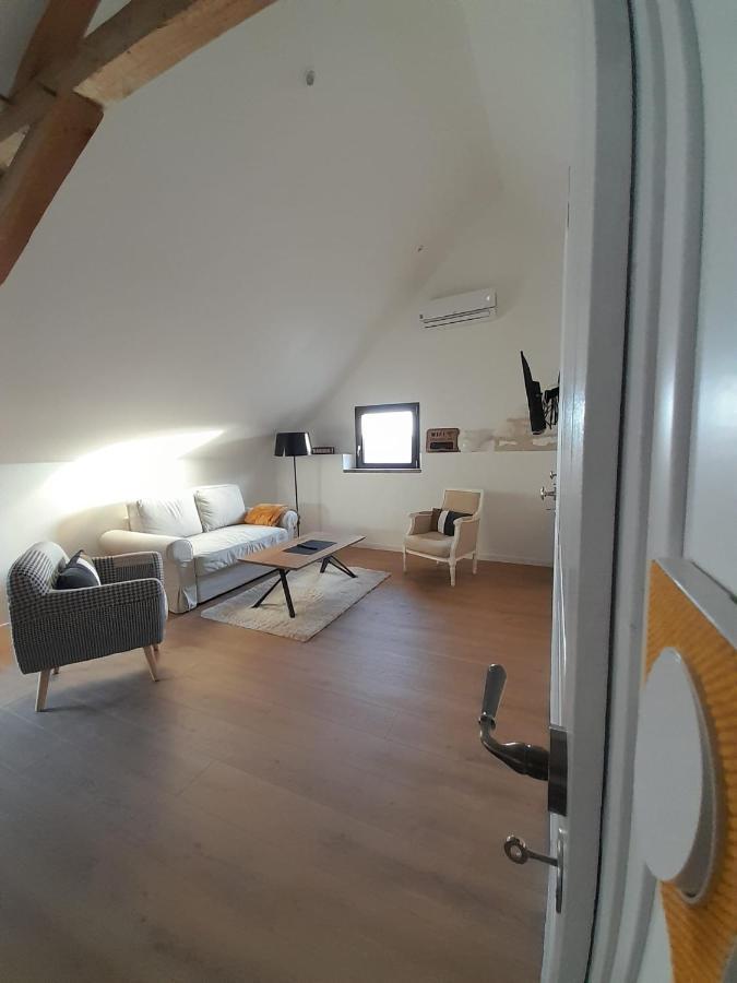 Appartement Le Repaire De Bacchus à Saint-Nicolas-de-Bourgueil Extérieur photo