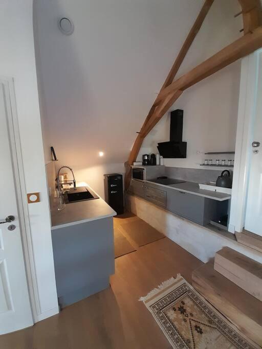 Appartement Le Repaire De Bacchus à Saint-Nicolas-de-Bourgueil Extérieur photo